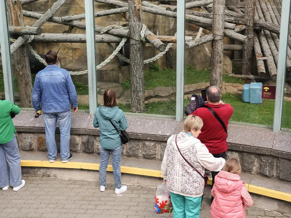 «Лучше трансформировать в заповедники»: в России предложили запретить зоопарки и цирки