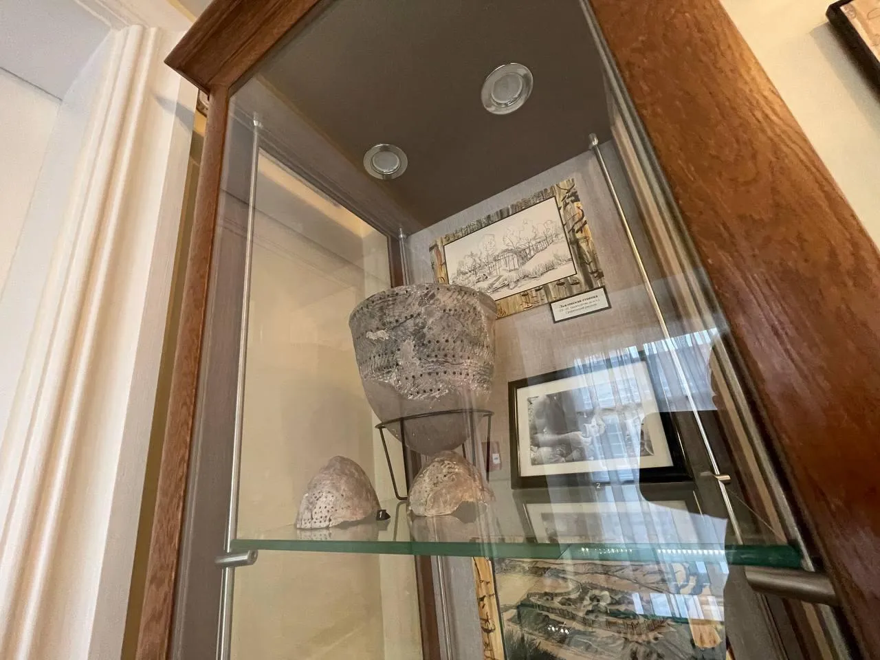 Фото: Александр Щербаков