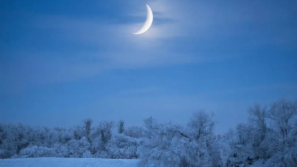 Фото: REGIONS/Сгенерировано нейросетью