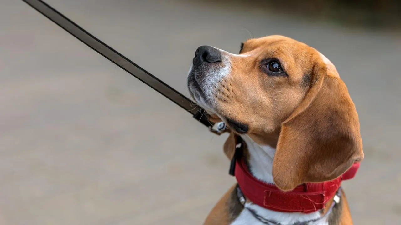 медиасток.рф