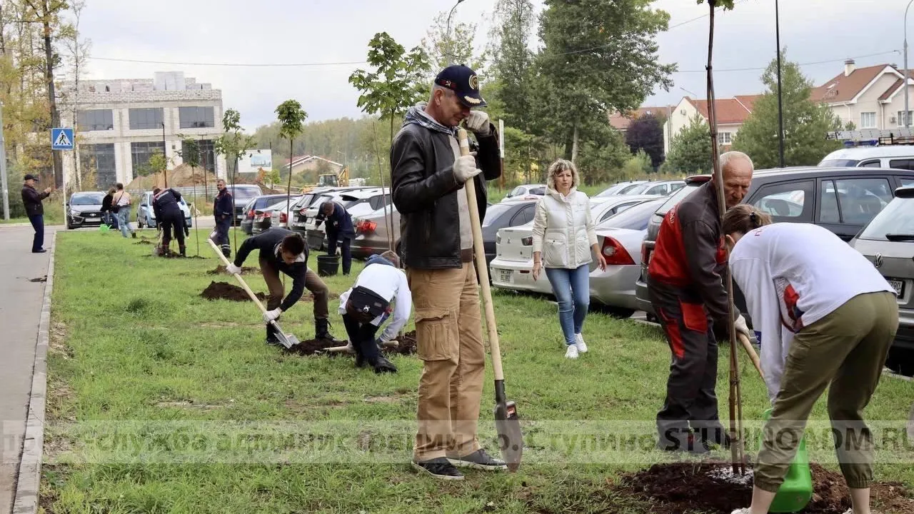 Фото: Пресс-служба администрации г. о. Ступино