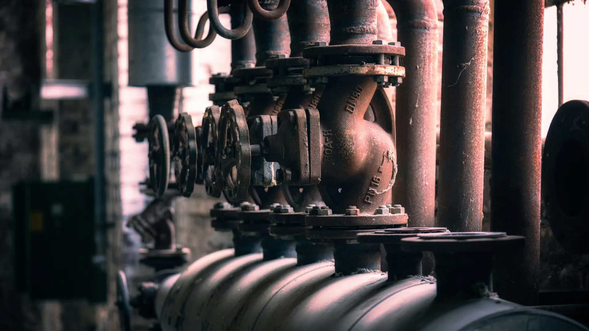 Фото: unsplash.com