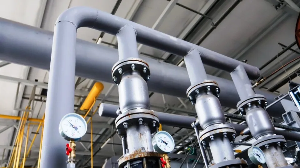 Фото: Анна Реппель