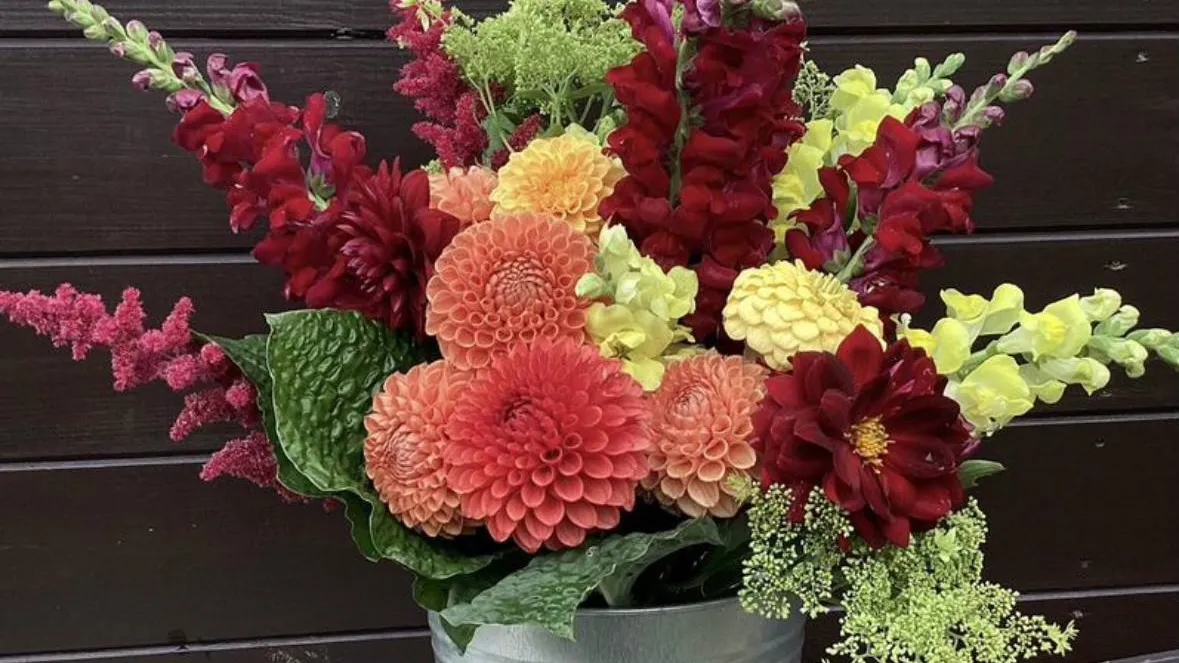 Фото: городская доска объявлений