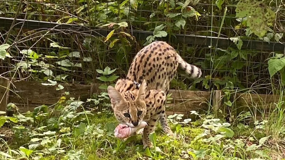 Фото: Светлана Новикова
