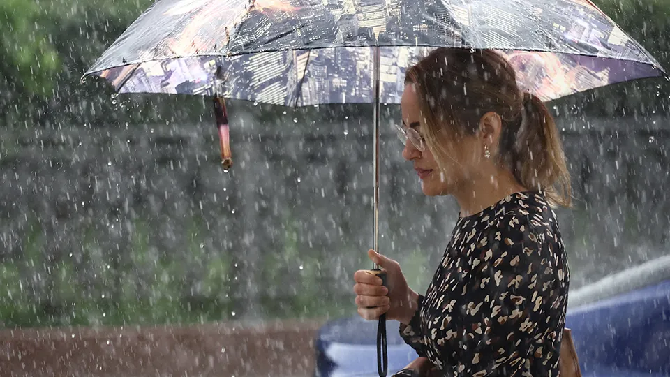 Фото: ТАСС/Валерий Шарифулин