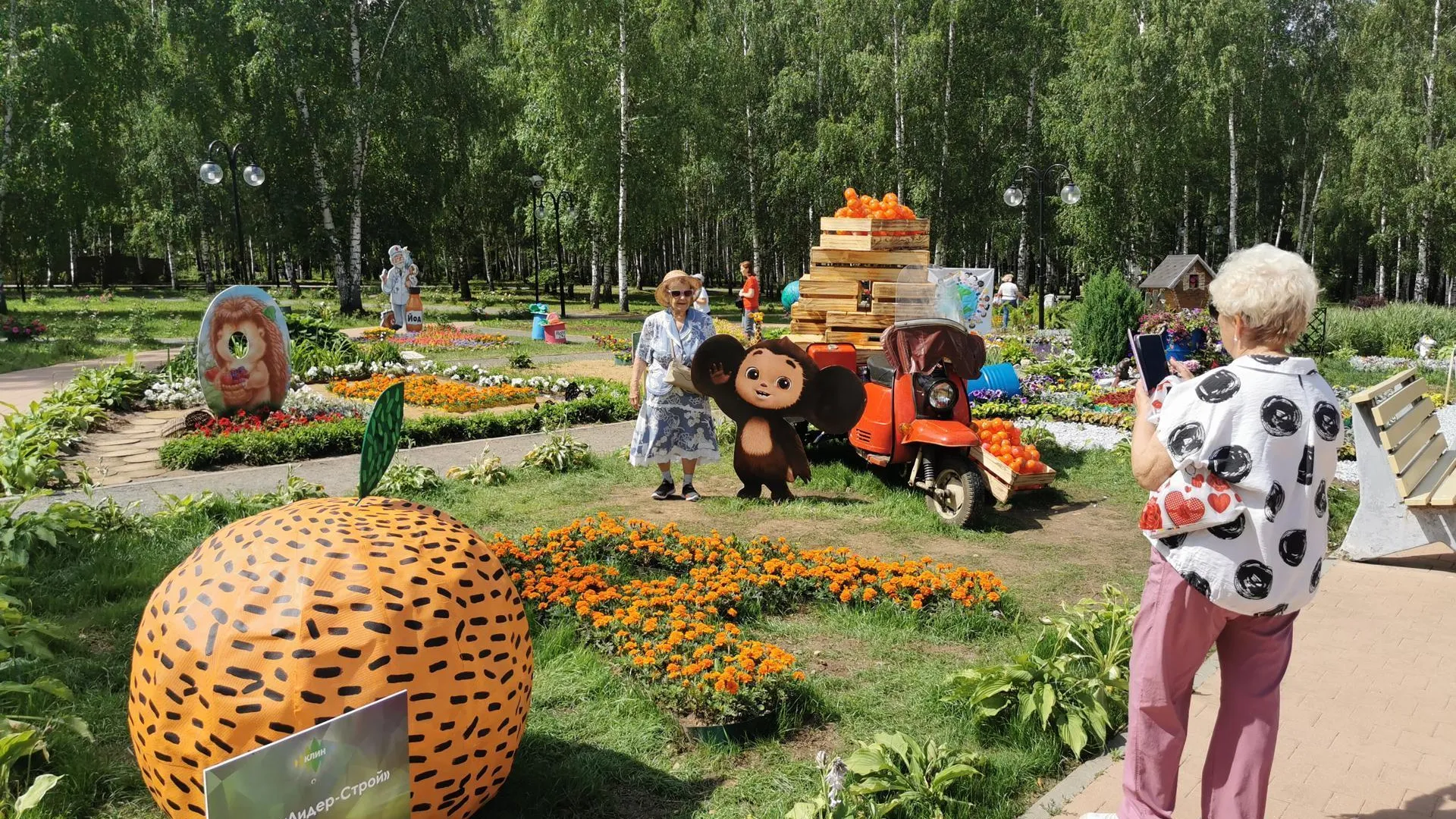 Фото: Министерство благоустройства Московской области