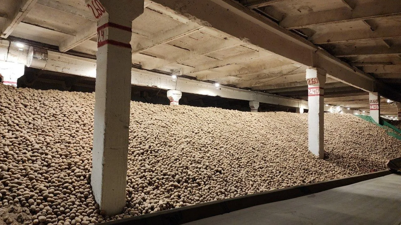 Фото: МедиаБанк Подмосковья