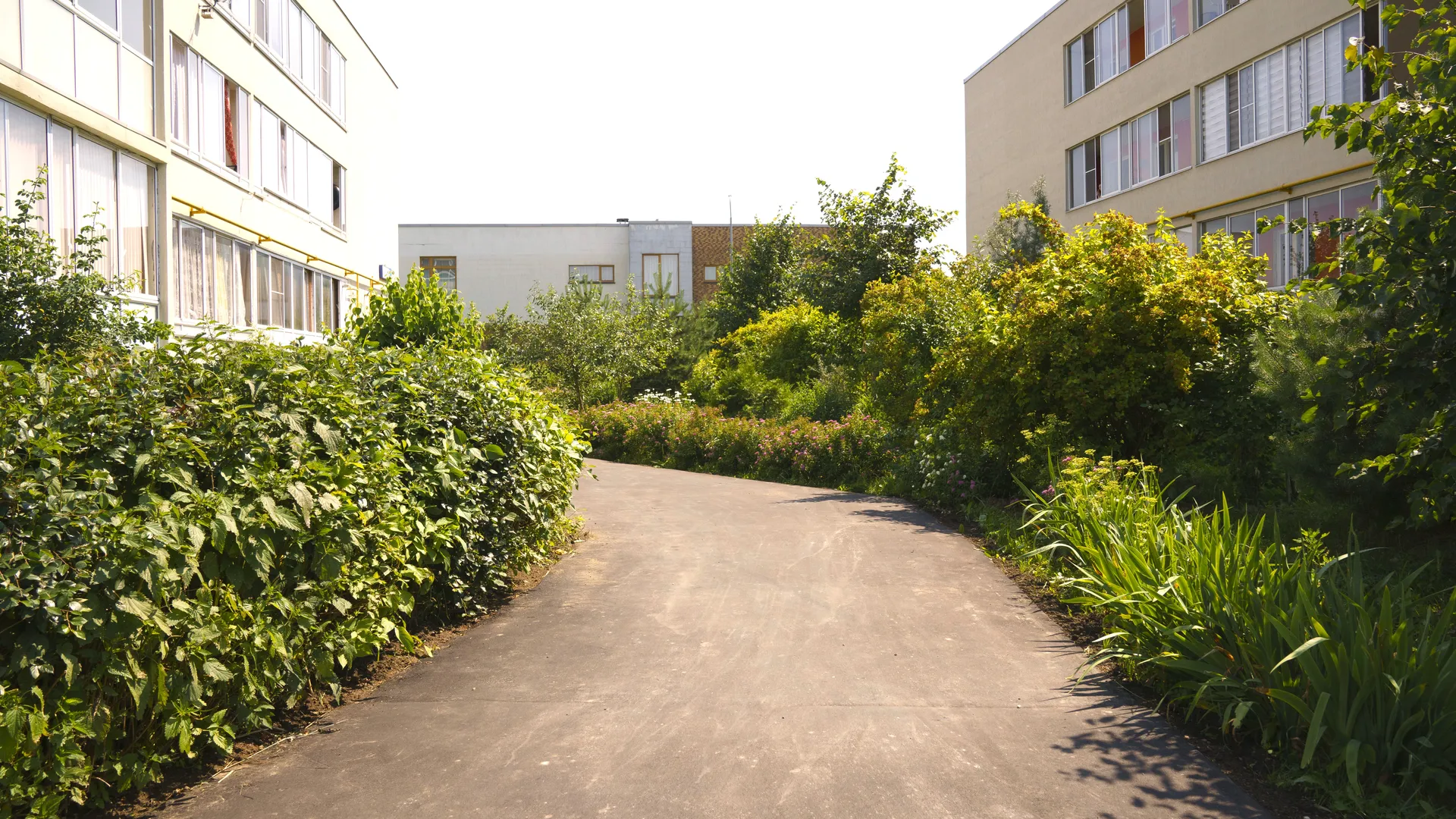 Фото: медиасток.рф