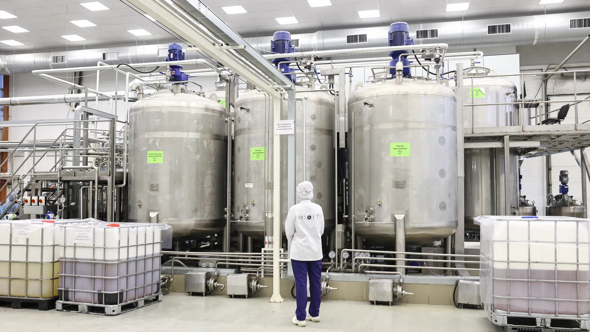 Веганский алкоголь производят в Подмосковье: технолог раскрыла секрет создания напитков