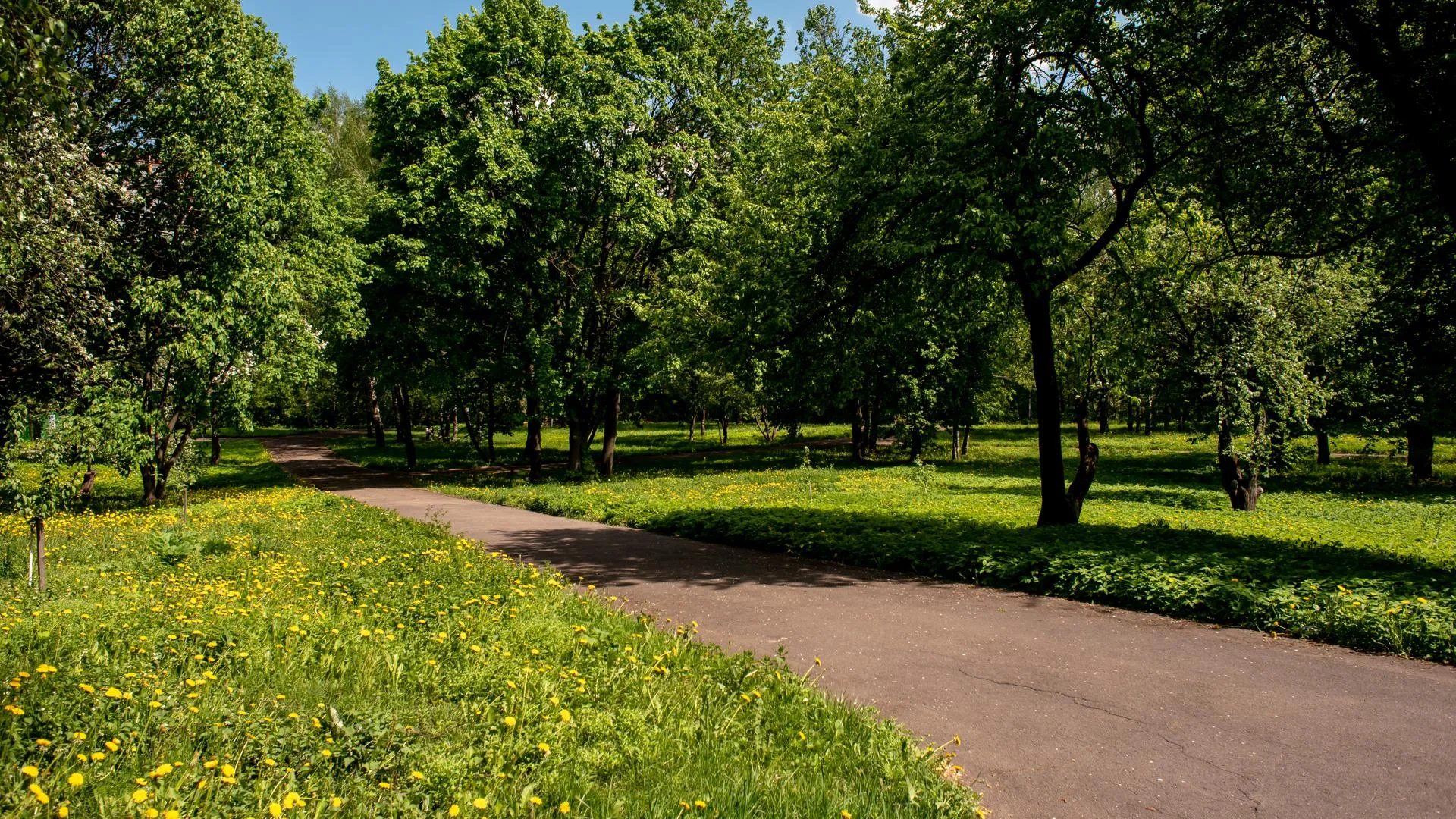 Источник: Медиаархив Подмосковья