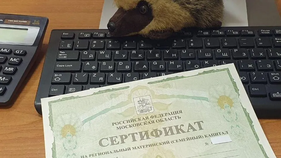 Фото: Министерство социального развития Московской области