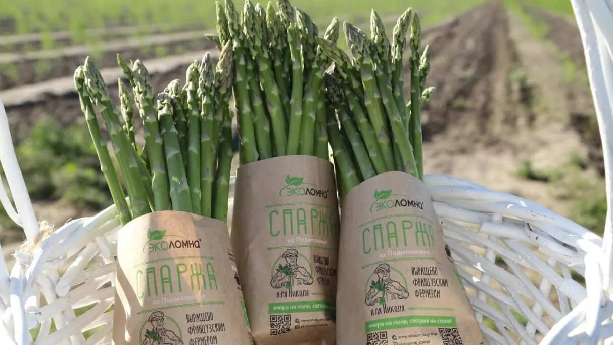 Фото: Пресс-служба городского округа Коломна