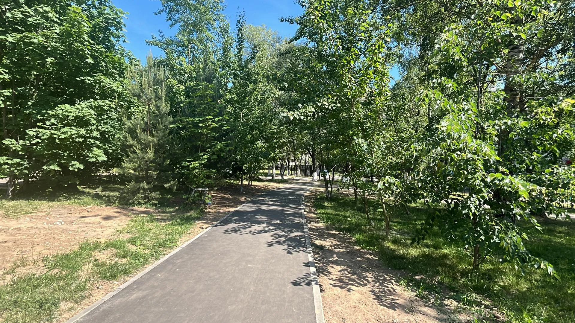 Фото: Елизавета Приймак