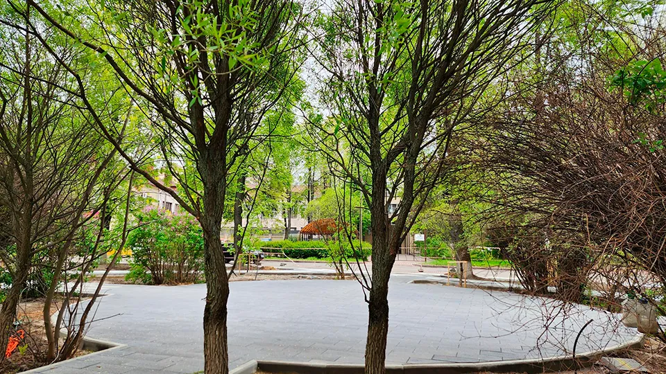 Фото: Роман Савельев