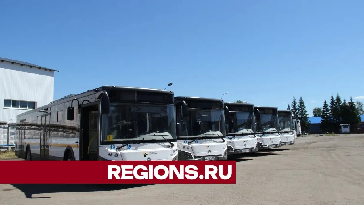 Фото: Василий Тремасов