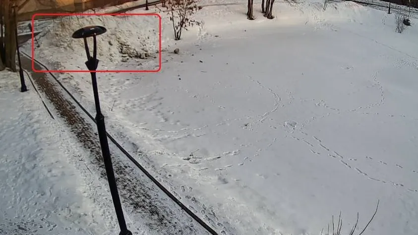 Фото: Главное управление регионального государственного жилищного надзора и содержания территорий Московской области