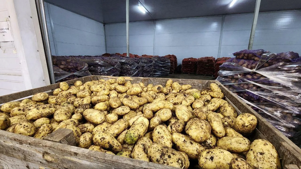 Евгений Рой