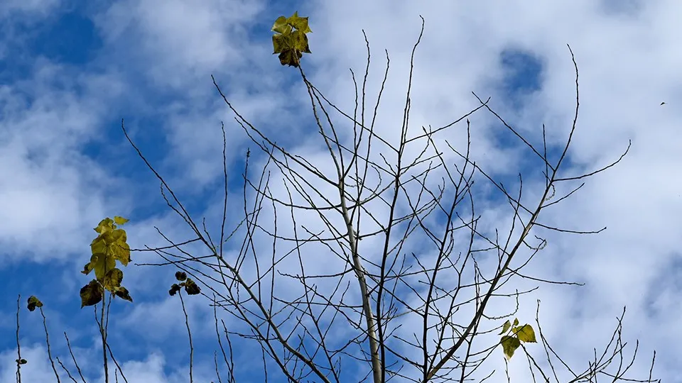 Фото: пресс-служба администрации г.о. Серпухов