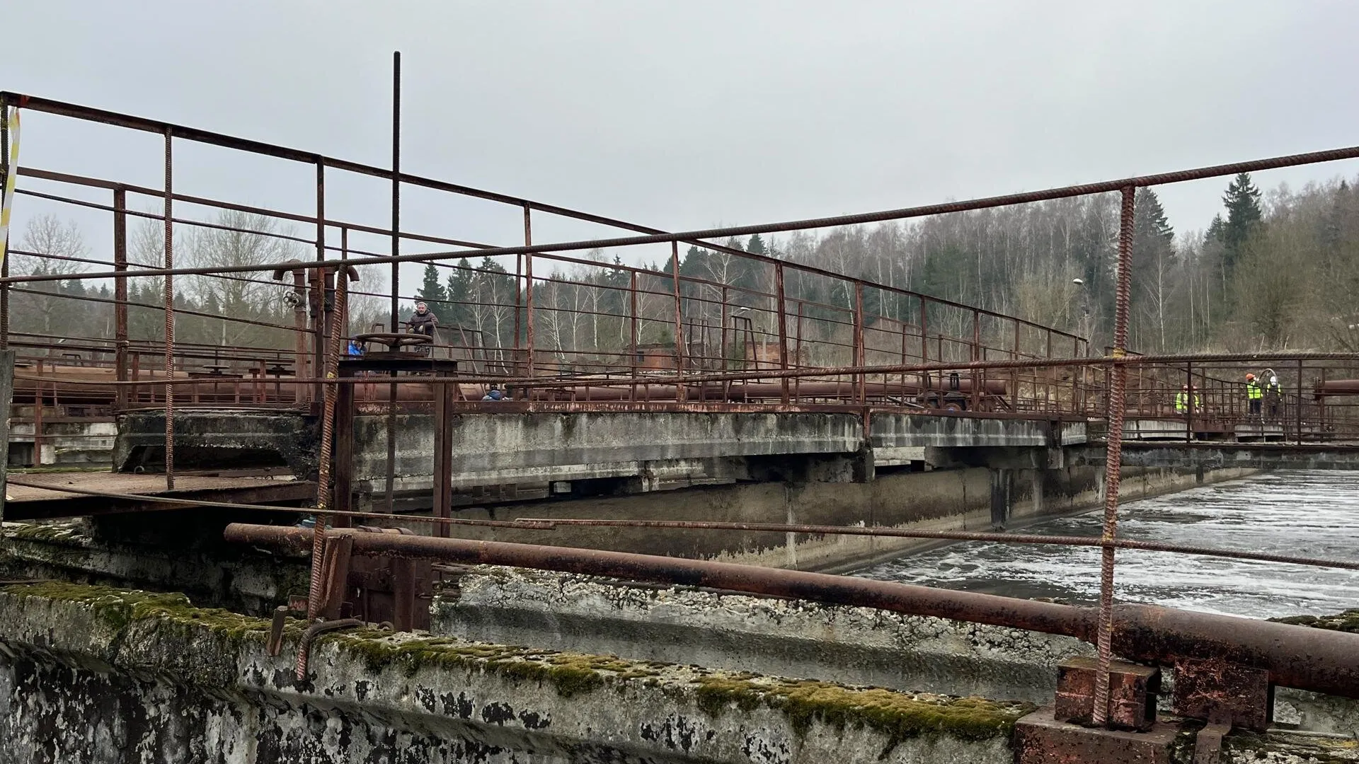 Фото: Анна Тюрюмина