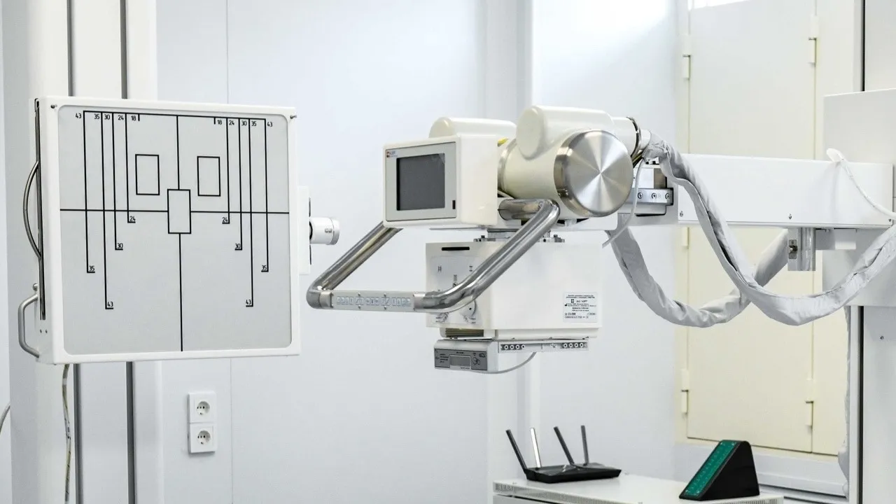 Фото: пресс-служба администрации г.о. Химки