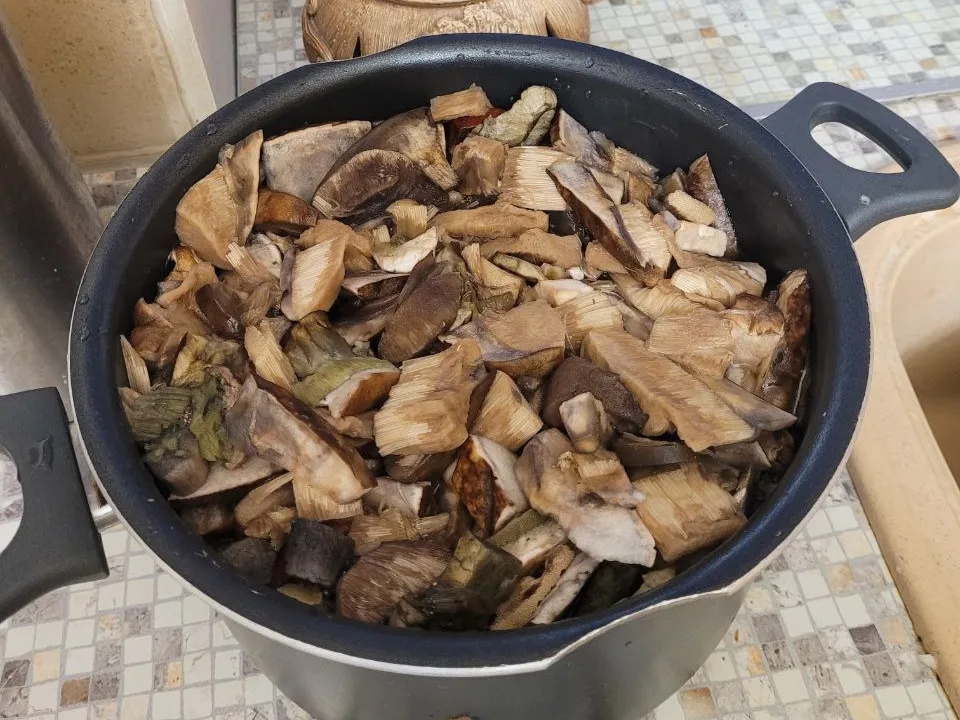 Фото: личный архив Ирины Сотовой