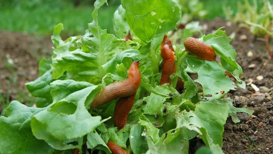 Фото: istockphoto.com