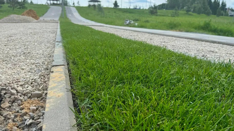 Фото: пресс-служба администрации Можайского м. о.