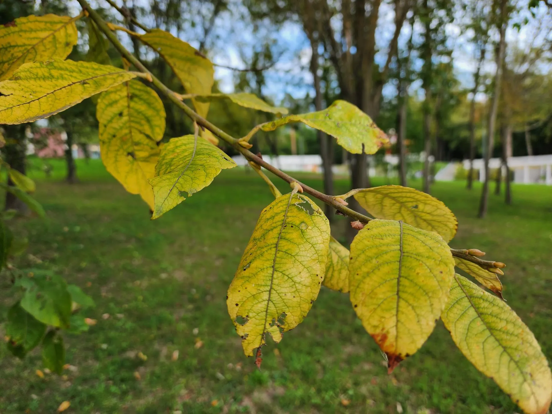 Фото: Светлана Плотникова