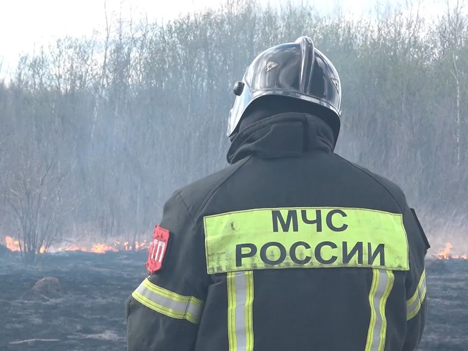 Фото: МедиаБанк Подмосковья/Наталья Надточая