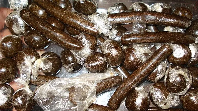 Bigsus / Wikimedia.org