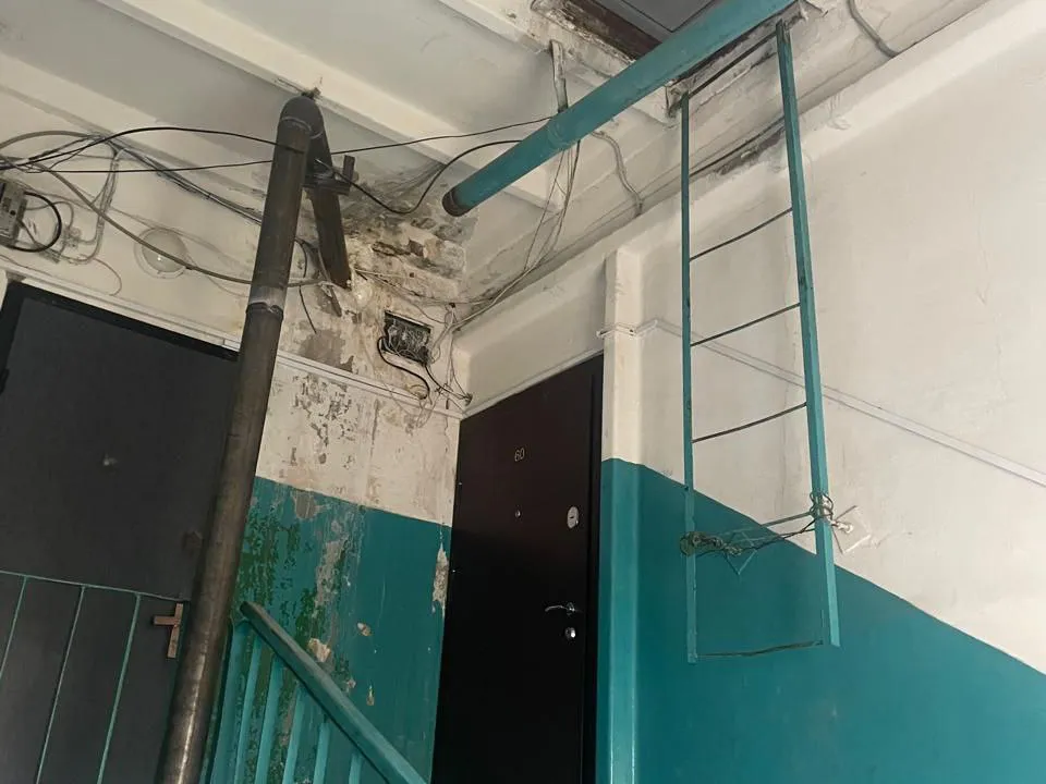 Фото: МЦУР Дмитровского округа