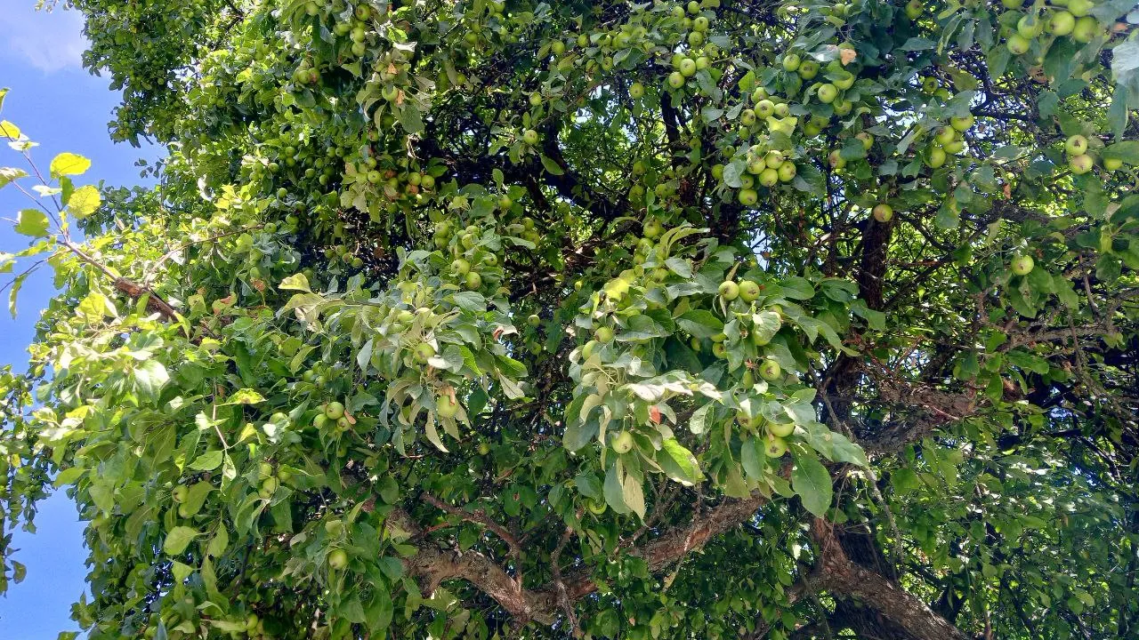 Фото: REGIONS/Василий Тремасов