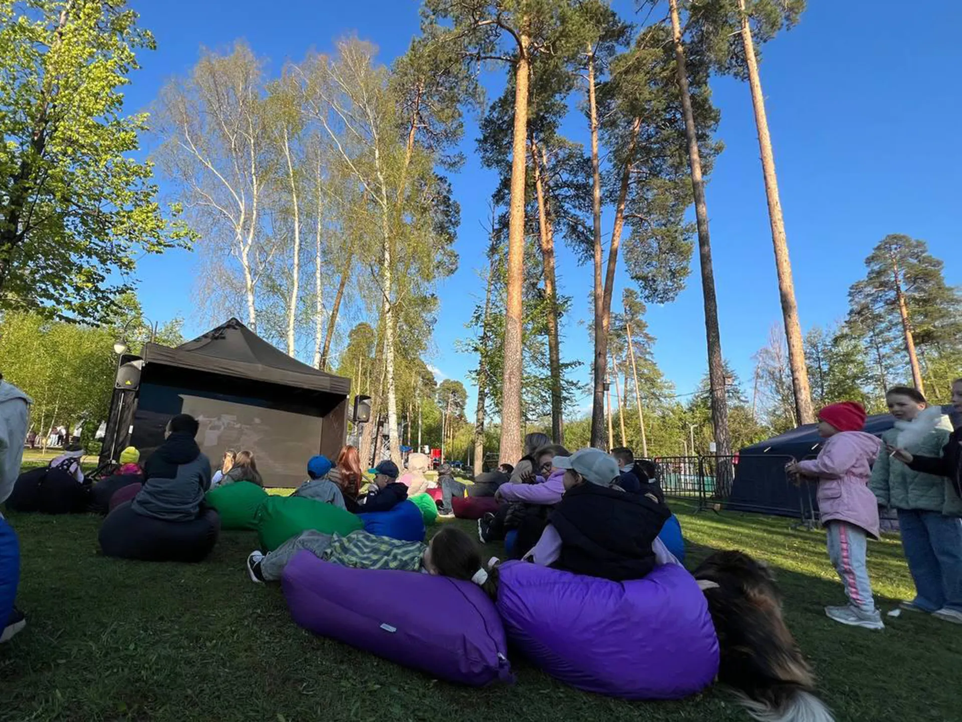 Фото: пресс-служба администрации Шатурского м.о.