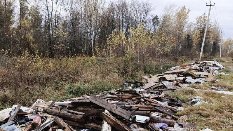 Фото: Комитет лесного хозяйства Московской области