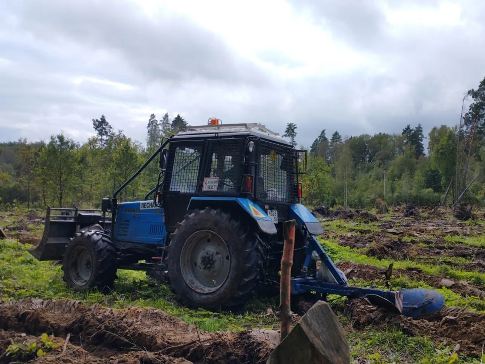 Фото: ГАУ МО «Мособллес»