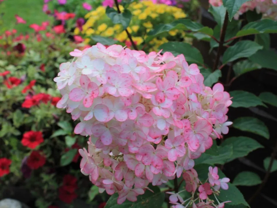 Фото: REGIONS/Илья Попов