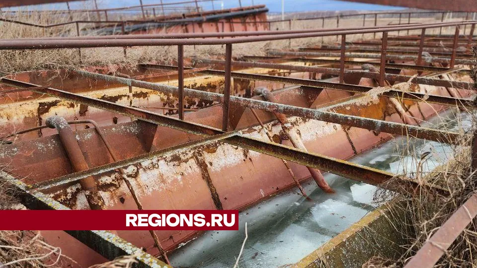 Фото: Евгений Рой