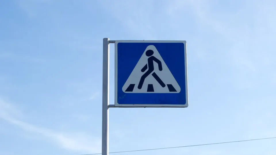 Фото: REGIONS/Игорь Рыжаков