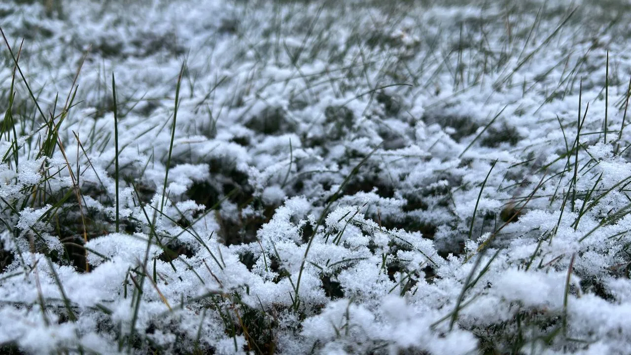 Фото: REGIONS/Елена Фурман