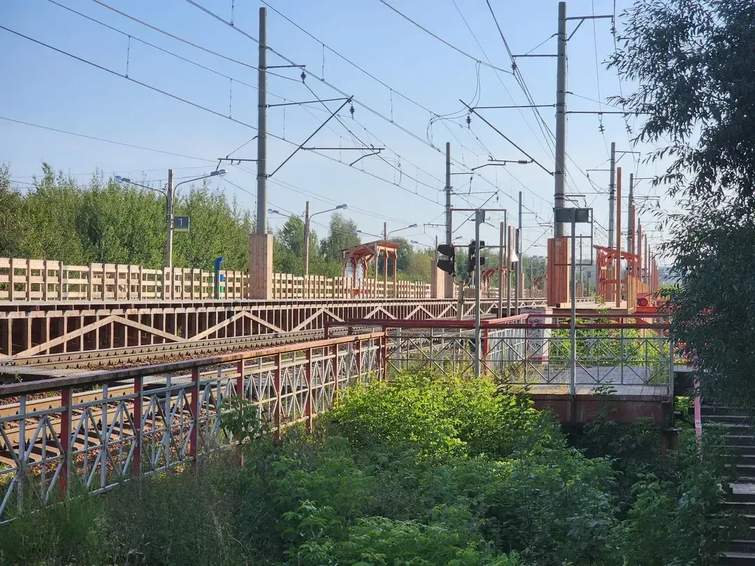 Источник: Алена Притула