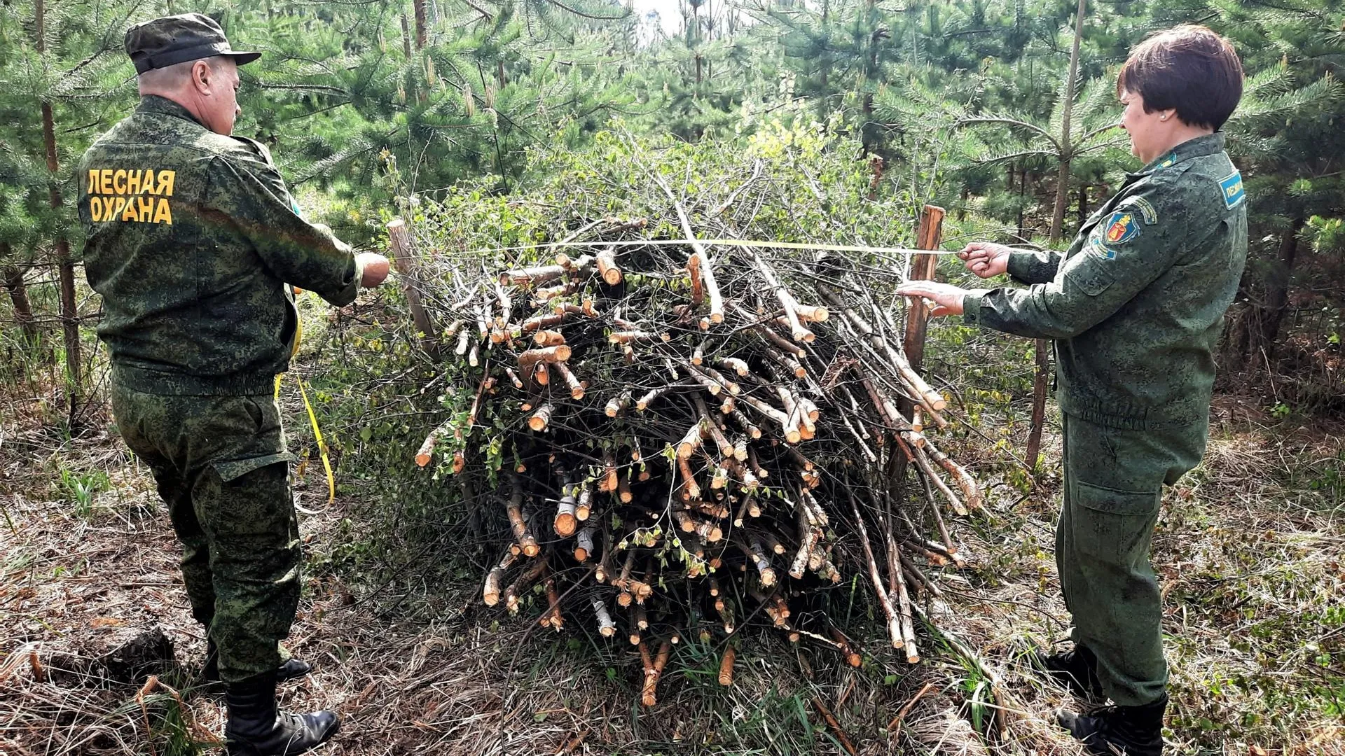 Комитет лесного хозяйства МО