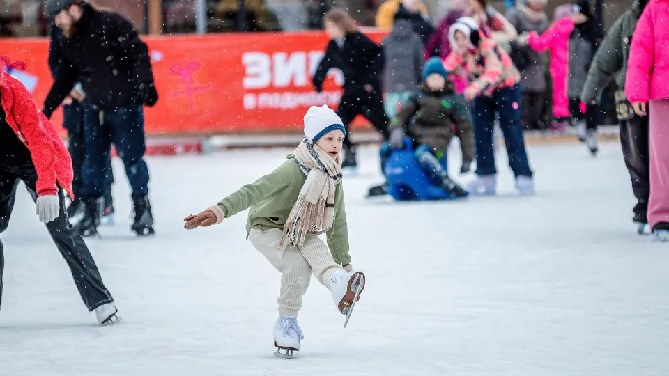 Фото: Алексей Гречушников