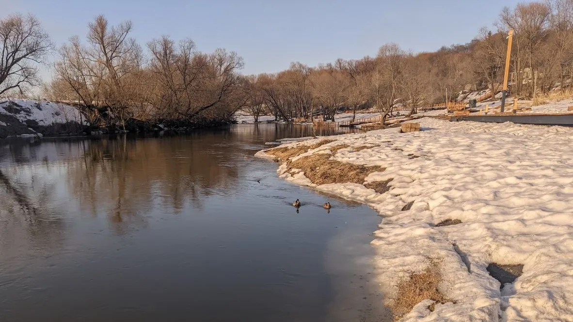 Фото: Татьяна Разумовская