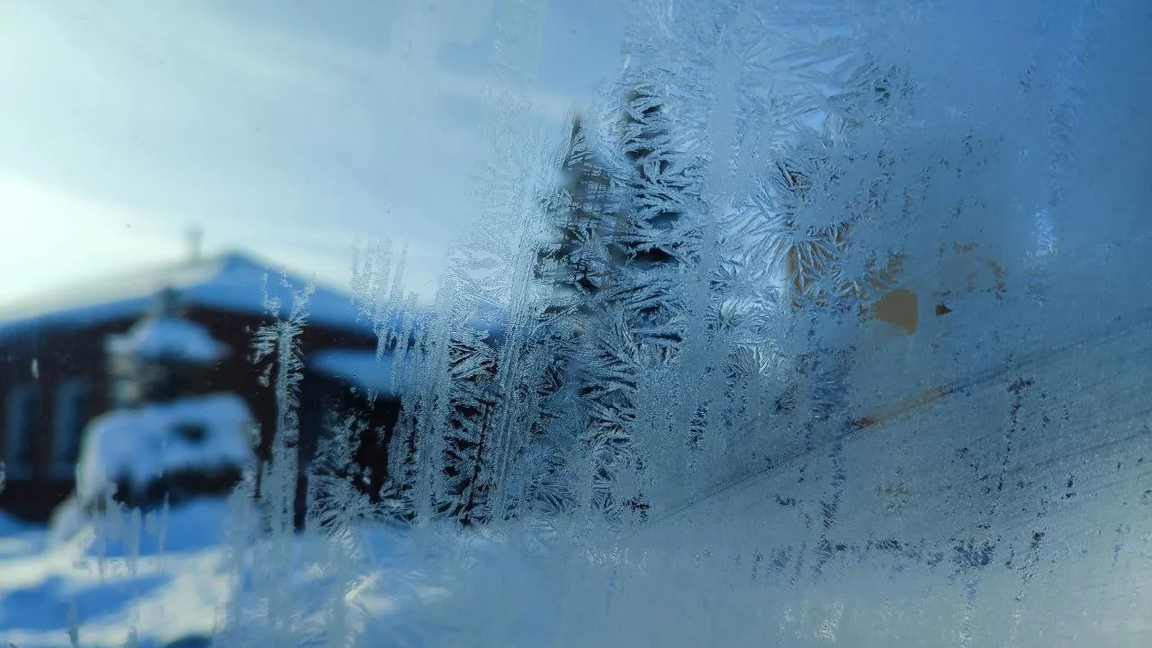 REGIONS/Елена Забелина