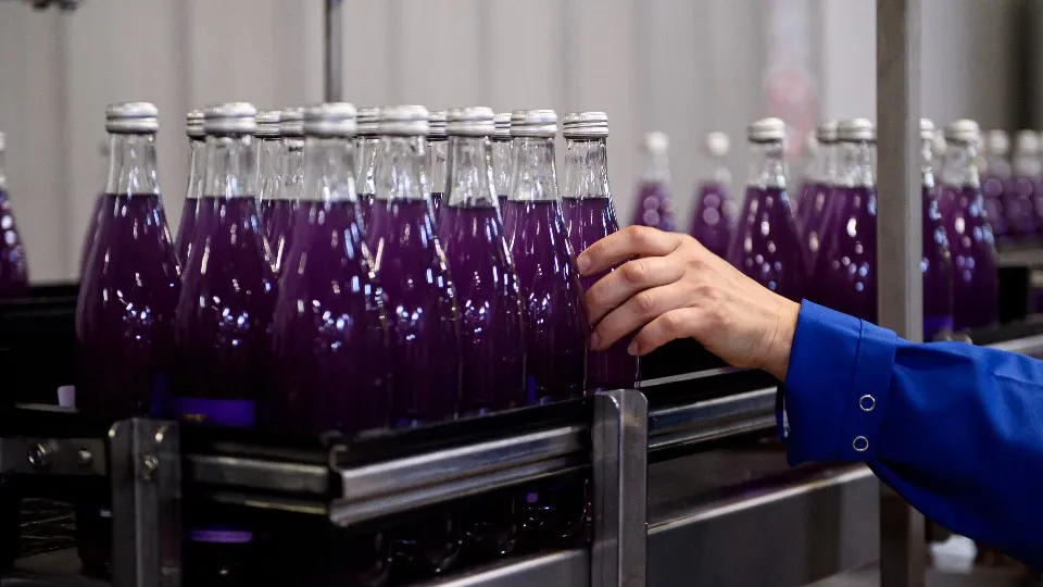 Фото: медиасток.рф