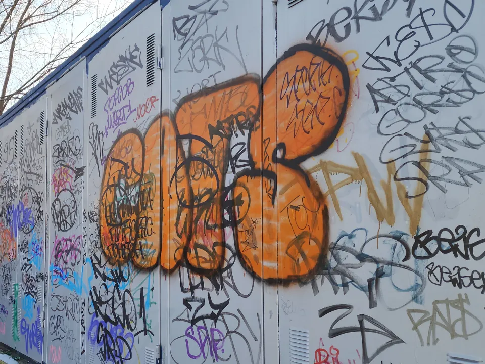 Фото: МедиаБанк Подмосковья/Ольга Сычева