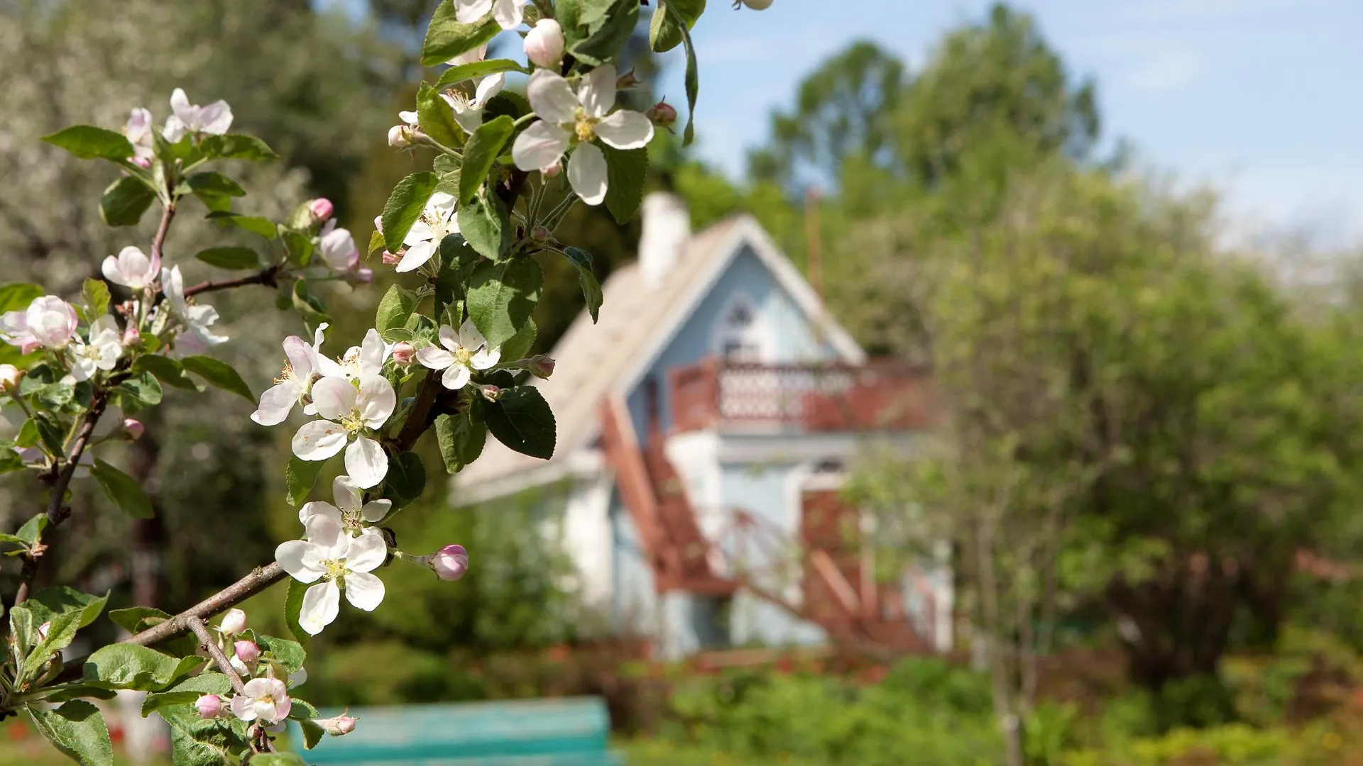 фото: музей-заповедник Мелихово