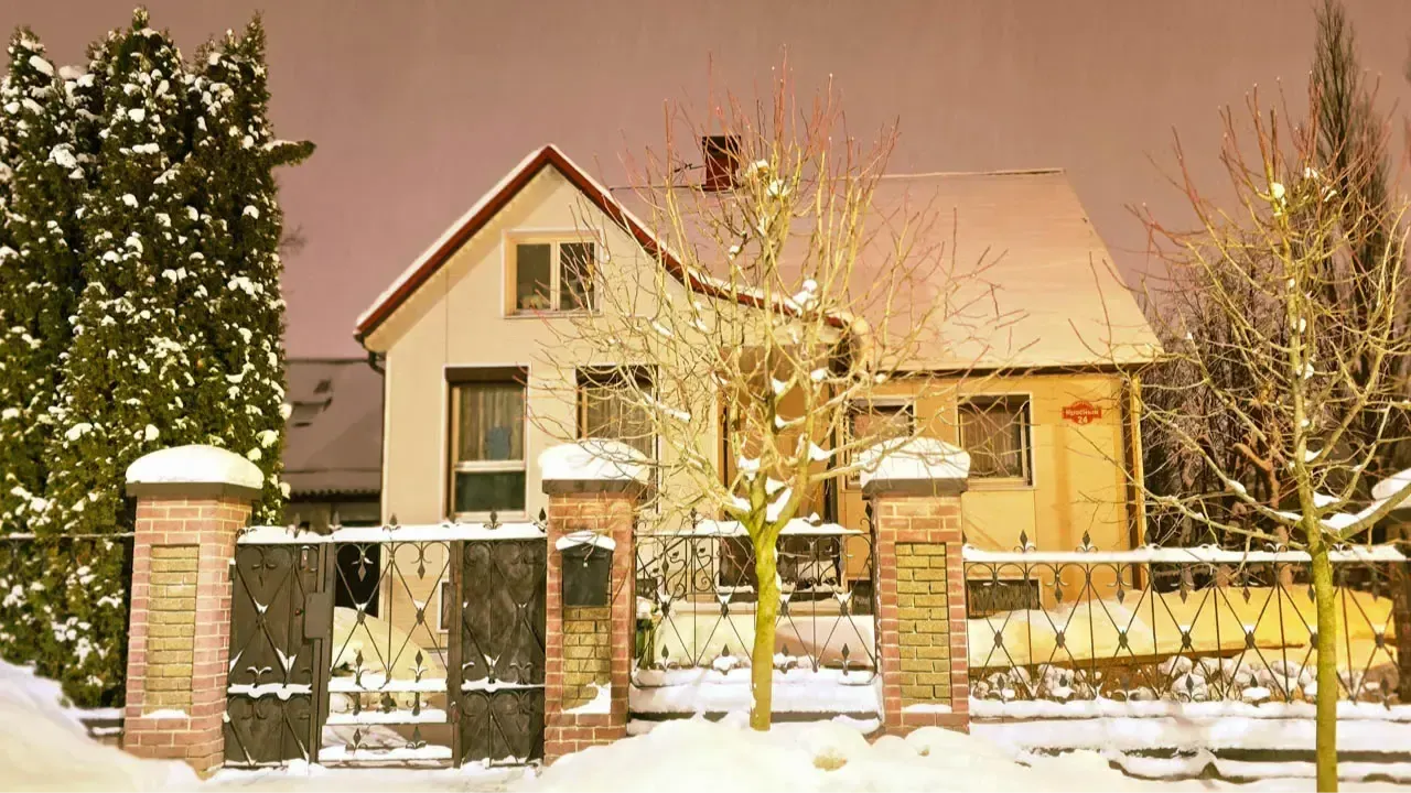 REGIONS/Елена Болотова