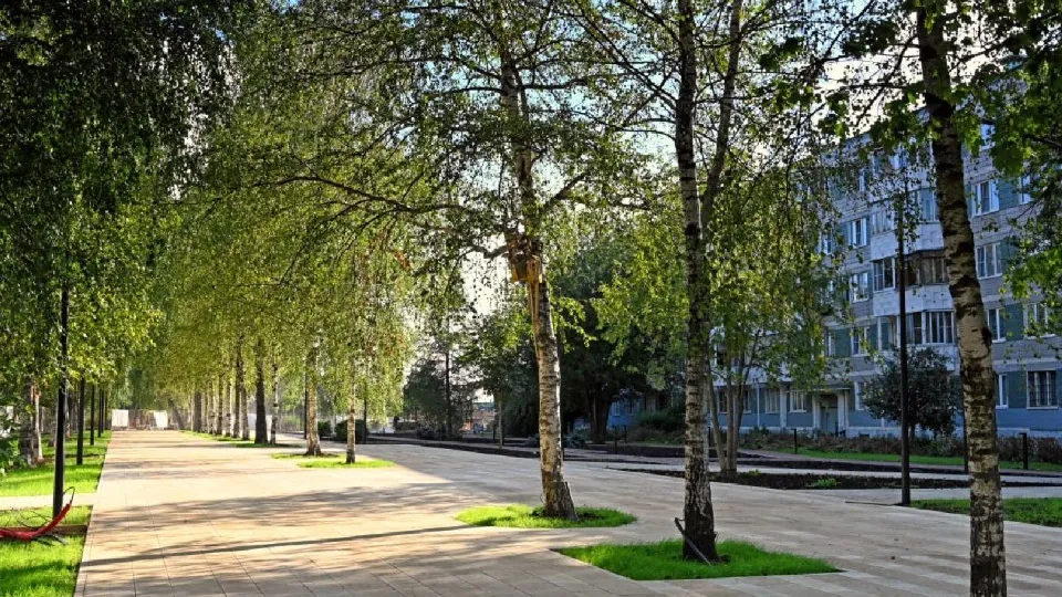 Фото: МедиаБанк Подмосковья/Дарья Леонова